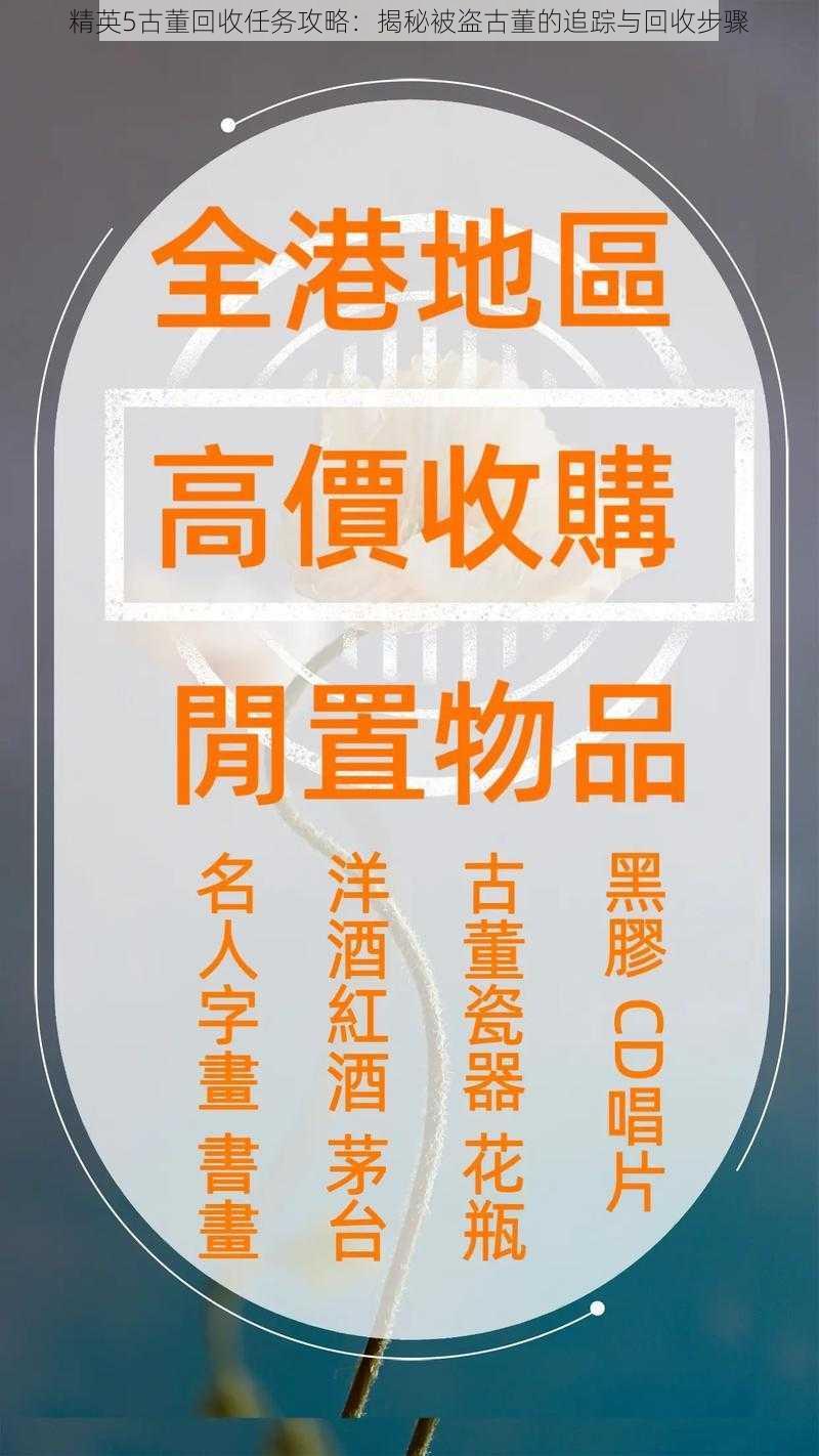 精英5古董回收任务攻略：揭秘被盗古董的追踪与回收步骤