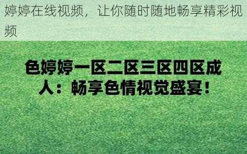 婷婷在线视频，让你随时随地畅享精彩视频