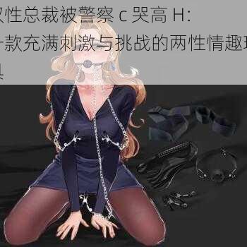 双性总裁被警察 c 哭高 H：一款充满刺激与挑战的两性情趣玩具