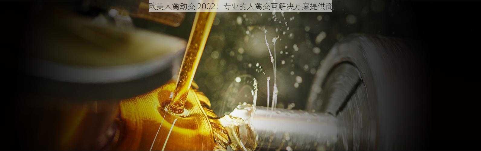 欧美人禽动交 2002：专业的人禽交互解决方案提供商