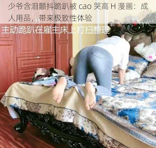 少爷含泪颤抖跪趴被 cao 哭高 H 漫画：成人用品，带来极致性体验