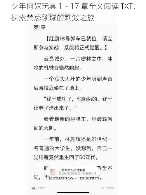 少年肉奴玩具 1～17 章全文阅读 TXT：探索禁忌领域的刺激之旅