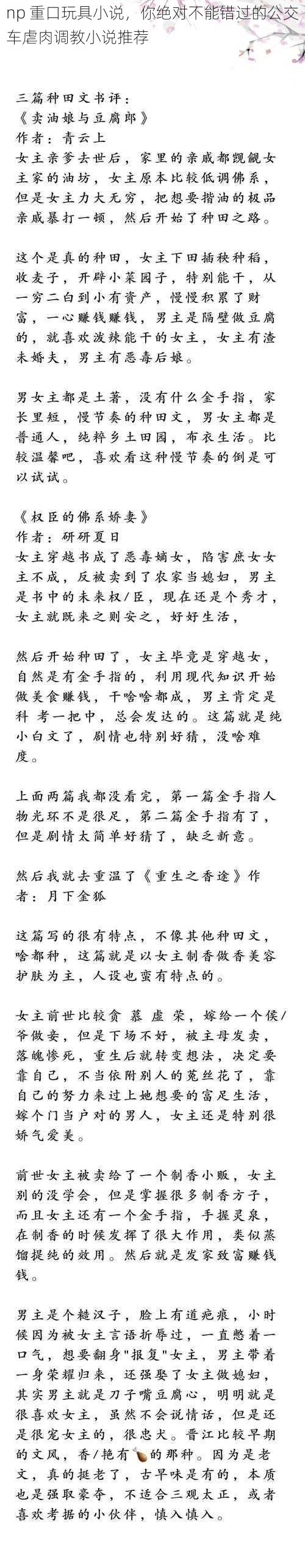 np 重口玩具小说，你绝对不能错过的公交车虐肉调教小说推荐