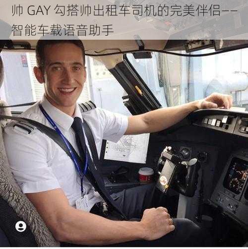 帅 GAY 勾搭帅出租车司机的完美伴侣——智能车载语音助手