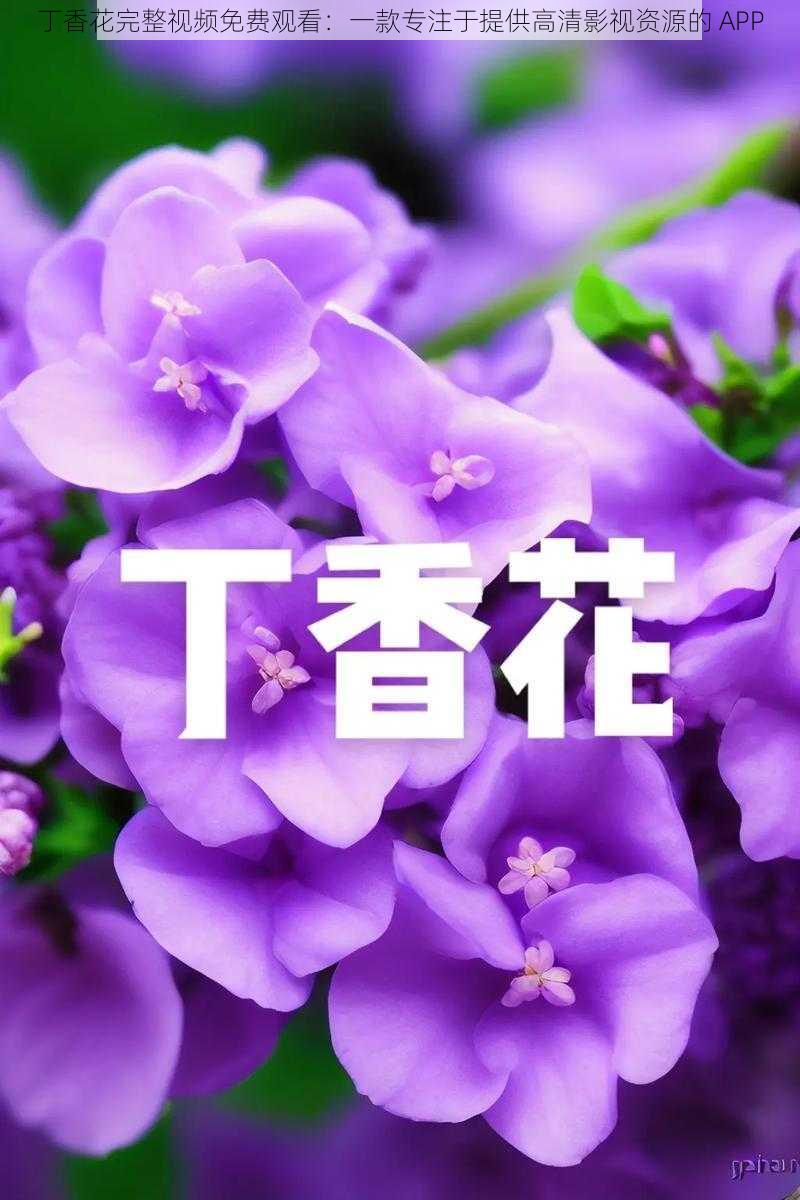 丁香花完整视频免费观看：一款专注于提供高清影视资源的 APP