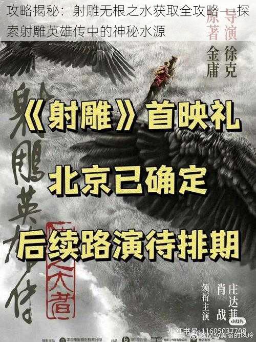 攻略揭秘：射雕无根之水获取全攻略——探索射雕英雄传中的神秘水源