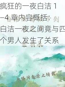 疯狂的一夜白洁 1—4 章内容概括：白洁一夜之间竟与四个男人发生了关系