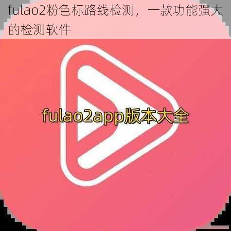 fulao2粉色标路线检测，一款功能强大的检测软件