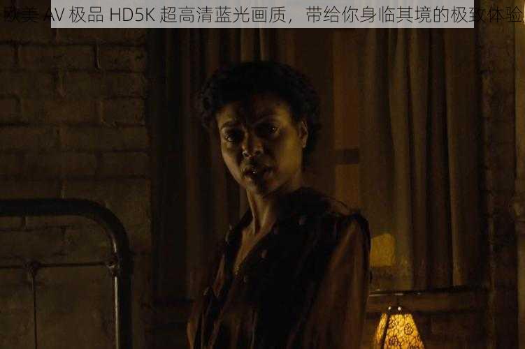 欧美 AV 极品 HD5K 超高清蓝光画质，带给你身临其境的极致体验