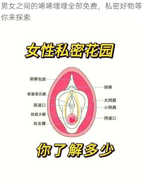 男女之间的唏唏哩哩全部免费，私密好物等你来探索