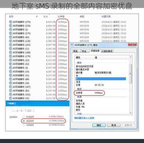 地下室 sMS 录制的全部内容加密优盘