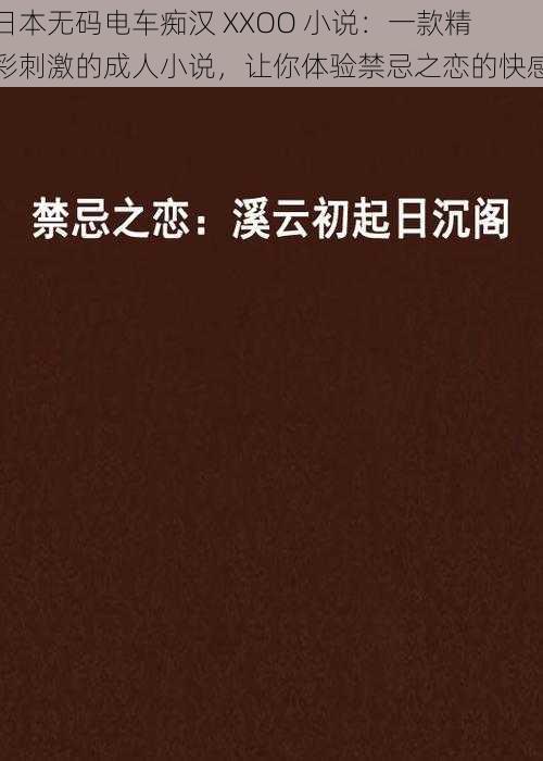 日本无码电车痴汉 XXOO 小说：一款精彩刺激的成人小说，让你体验禁忌之恋的快感