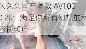 久久久国产调教 AV1000 部：满足你所有幻想的私密视频库