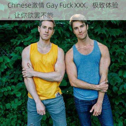 Chinese激情 Gay Fuck XXX，极致体验，让你欲罢不能