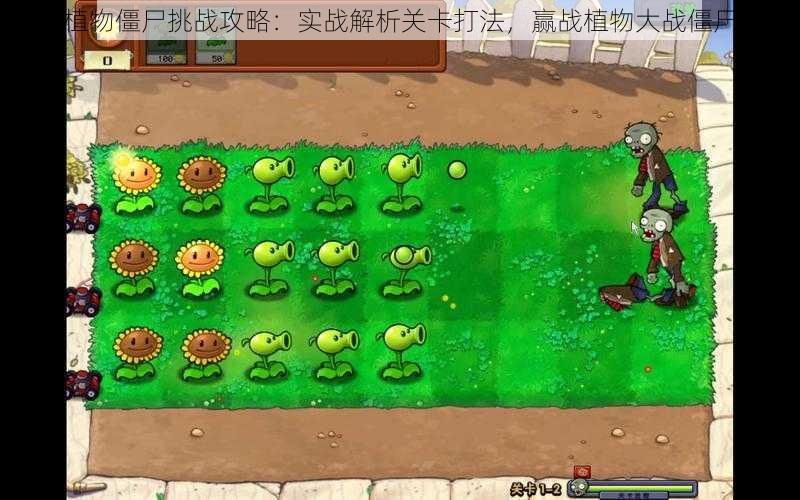 植物僵尸挑战攻略：实战解析关卡打法，赢战植物大战僵尸