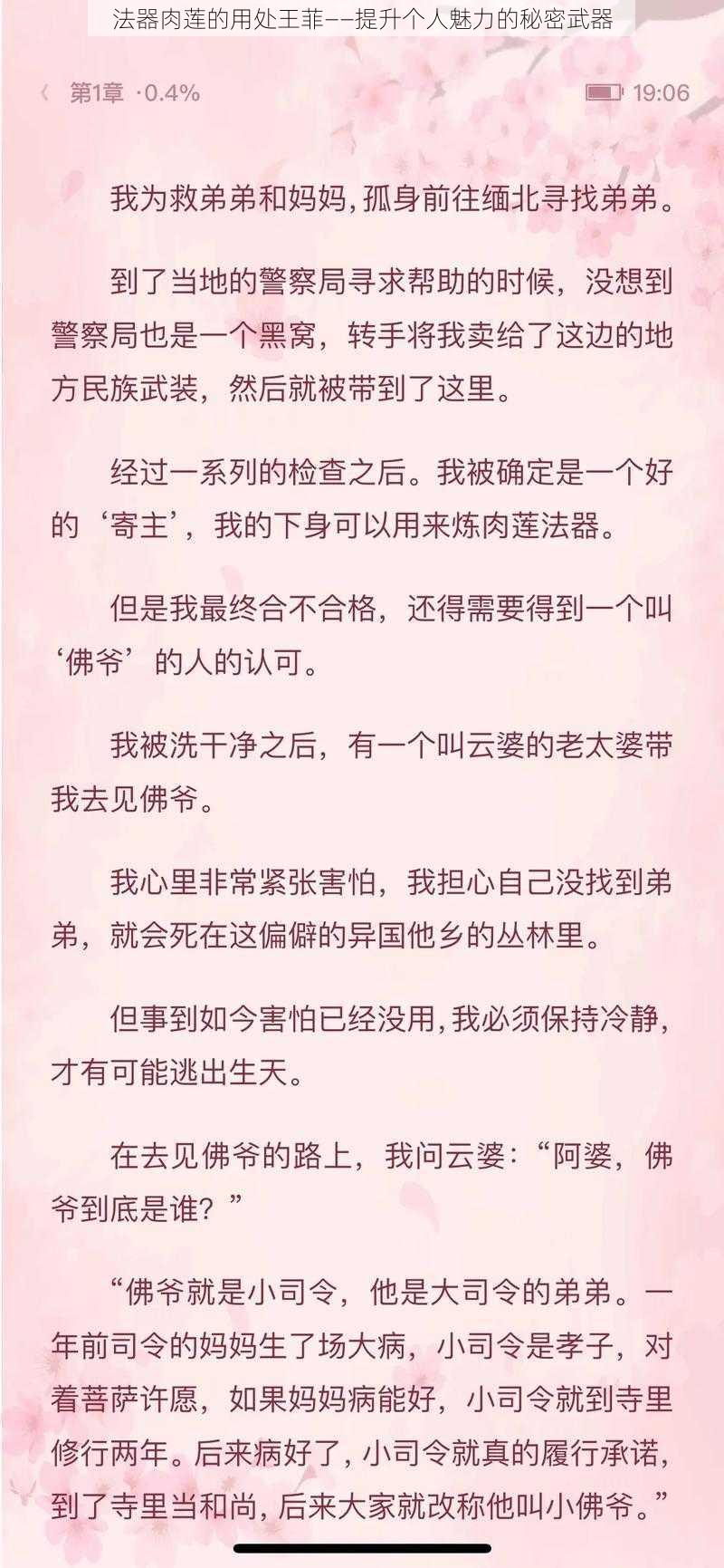 法器肉莲的用处王菲——提升个人魅力的秘密武器