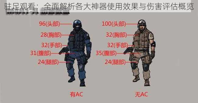 驻足观看：全面解析各大神器使用效果与伤害评估概览