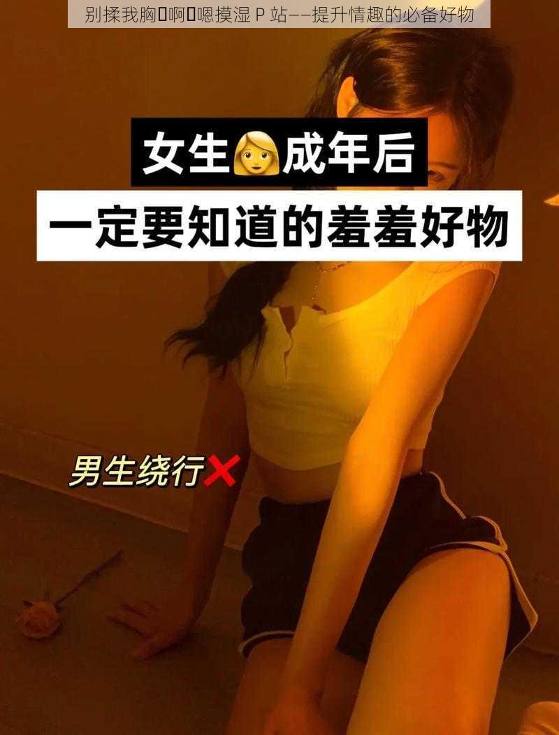 别揉我胸⋯啊⋯嗯摸湿 P 站——提升情趣的必备好物