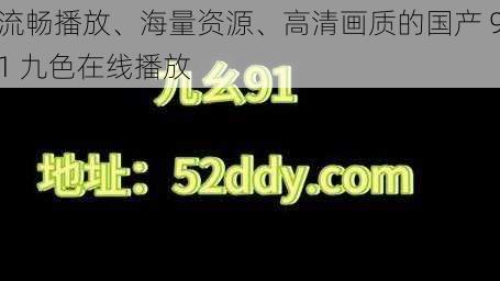 流畅播放、海量资源、高清画质的国产 91 九色在线播放