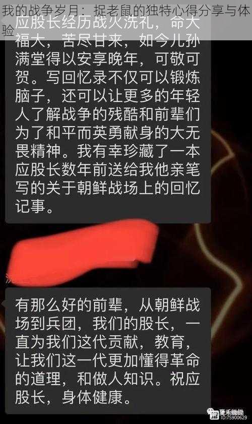 我的战争岁月：捉老鼠的独特心得分享与体验