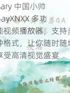 gary 中国小帅 GayXNXX 多功能视频播放器，支持多种格式，让你随时随地享受高清视觉盛宴