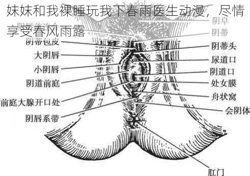 妺妺和我裸睡玩我下春雨医生动漫，尽情享受春风雨露