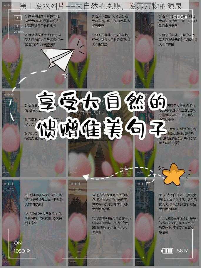 黑土滋水图片——大自然的恩赐，滋养万物的源泉