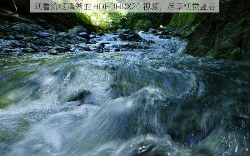 观看流畅清晰的 HDHDHDX20 视频，尽享视觉盛宴