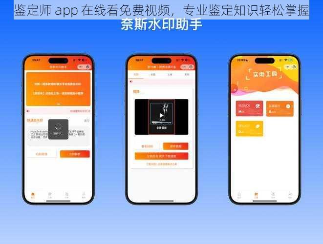 鉴定师 app 在线看免费视频，专业鉴定知识轻松掌握