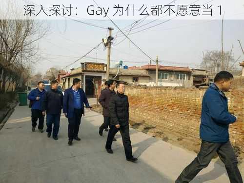 深入探讨：Gay 为什么都不愿意当 1