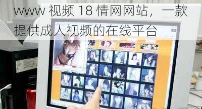 www 视频 18 情网网站，一款提供成人视频的在线平台