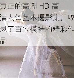 真正的高潮 HD 高清人体艺术摄影集，收录了百位模特的精彩作品