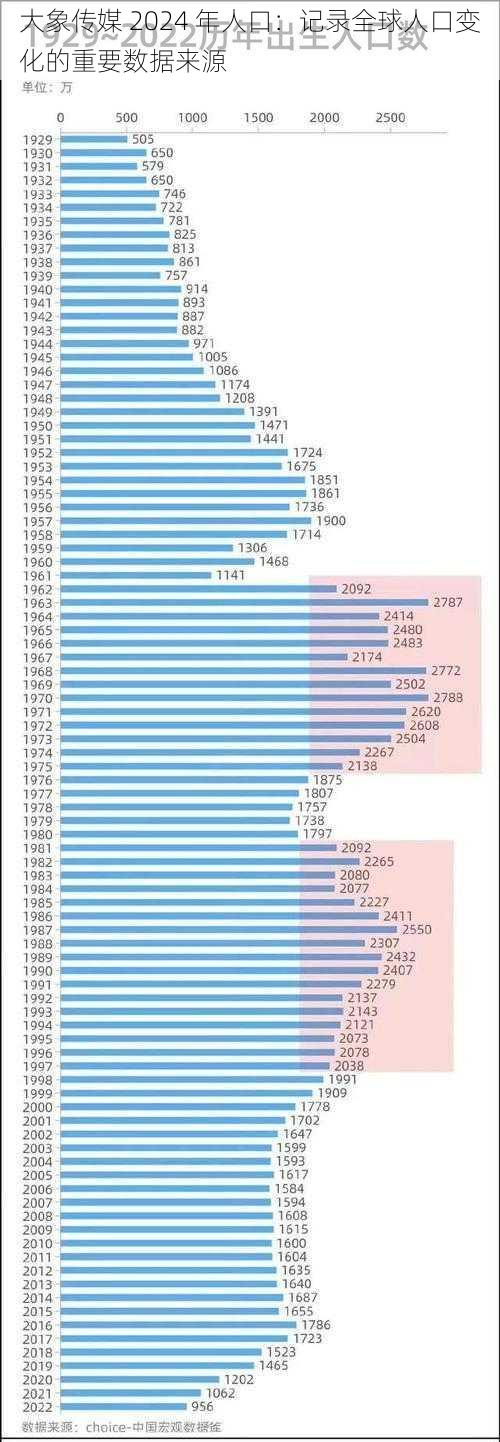 大象传媒 2024 年人口：记录全球人口变化的重要数据来源