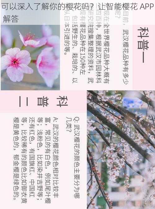 可以深入了解你的樱花吗？让智能樱花 APP 解答