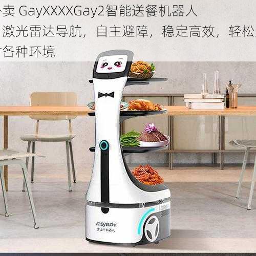 外卖 GayXXXXGay2智能送餐机器人，激光雷达导航，自主避障，稳定高效，轻松应对各种环境