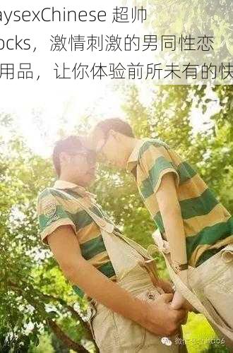 GaysexChinese 超帅 Cocks，激情刺激的男同性恋性用品，让你体验前所未有的快感