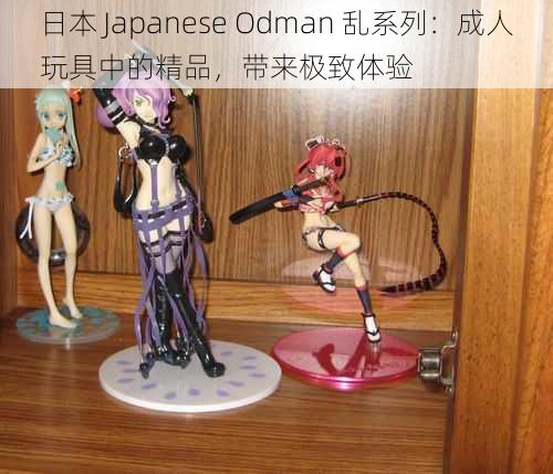 日本 Japanese Odman 乱系列：成人玩具中的精品，带来极致体验