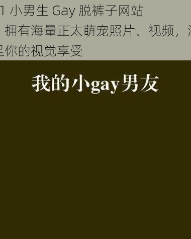 11 小男生 Gay 脱裤子网站，拥有海量正太萌宠照片、视频，满足你的视觉享受