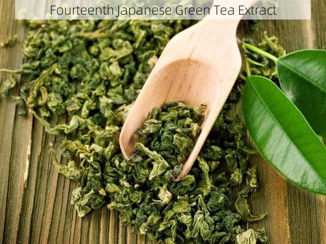 Fourteenth Japanese Green Tea Extract