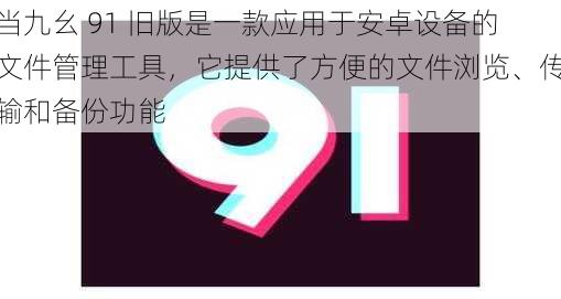 当九幺 91 旧版是一款应用于安卓设备的文件管理工具，它提供了方便的文件浏览、传输和备份功能