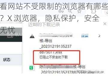 看网站不受限制的浏览器有哪些？X 浏览器，隐私保护，安全无忧
