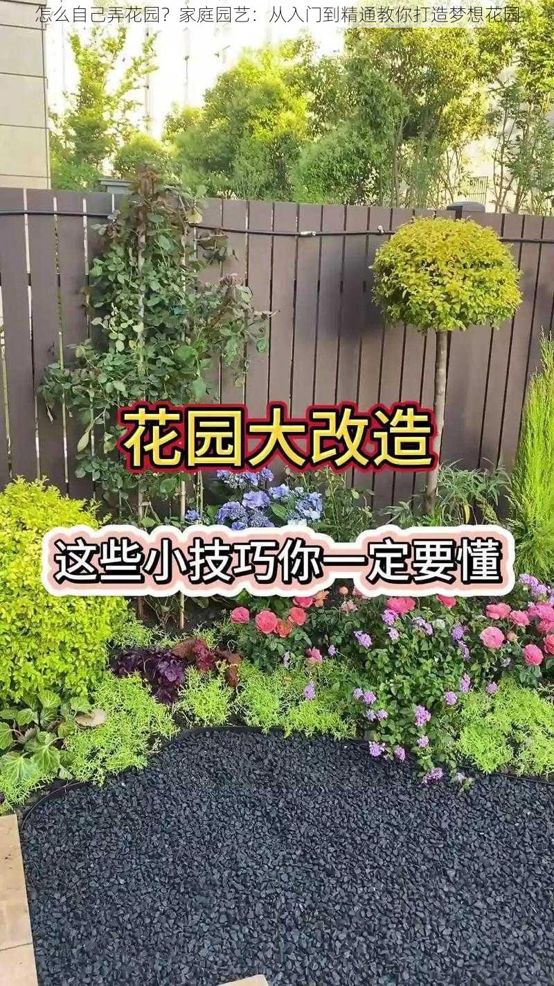 怎么自己弄花园？家庭园艺：从入门到精通教你打造梦想花园