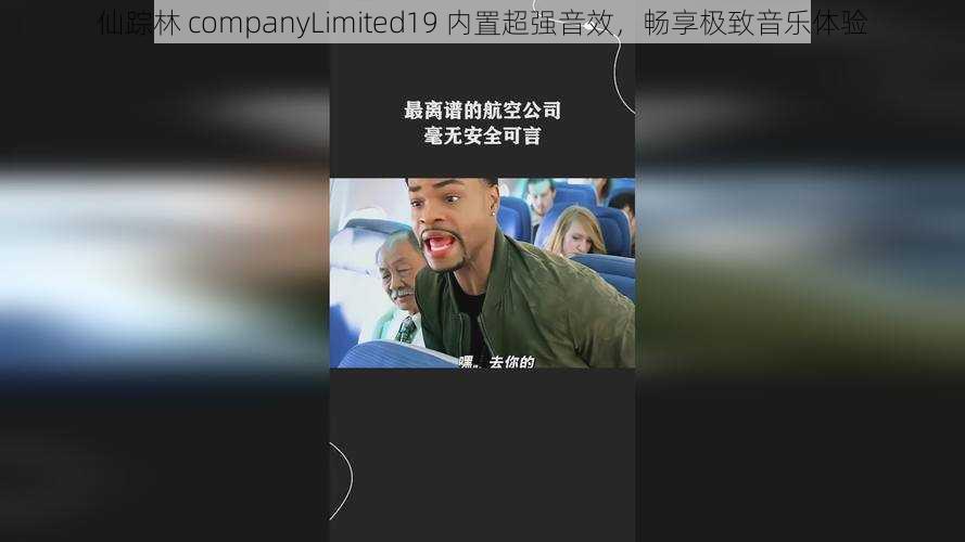 仙踪林 companyLimited19 内置超强音效，畅享极致音乐体验