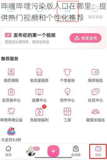 哔哩哔哩污染版入口在哪里：提供热门视频和个性化推荐