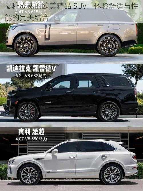 揭秘成熟的欧美精品 SUV：体验舒适与性能的完美结合