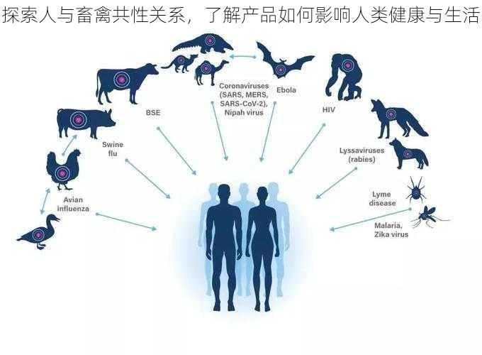 探索人与畜禽共性关系，了解产品如何影响人类健康与生活