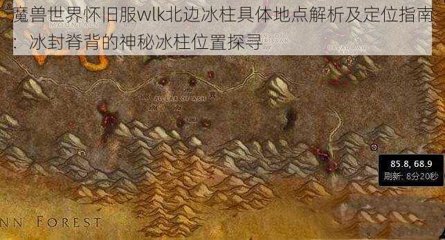 魔兽世界怀旧服wlk北边冰柱具体地点解析及定位指南：冰封脊背的神秘冰柱位置探寻