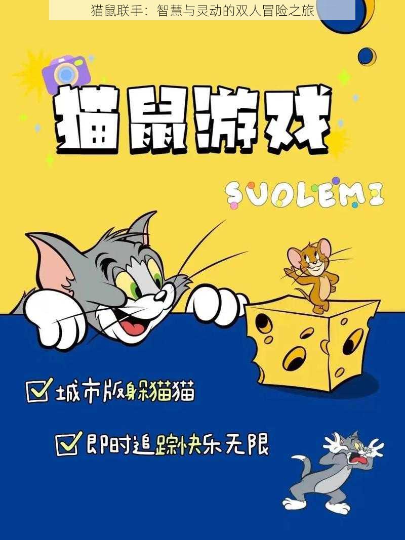 猫鼠联手：智慧与灵动的双人冒险之旅