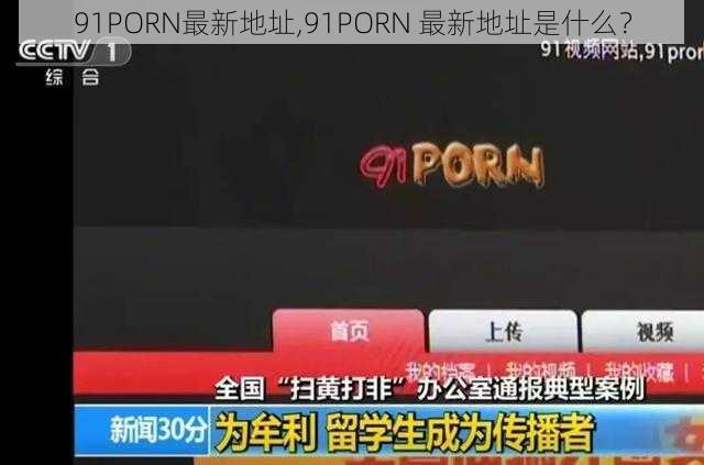 91PORN最新地址,91PORN 最新地址是什么？