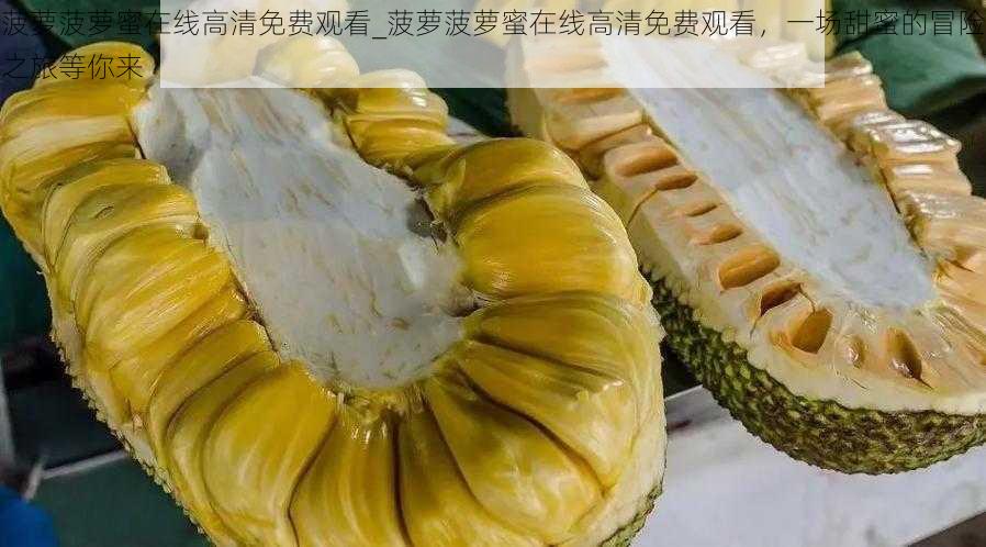 菠萝菠萝蜜在线高清免费观看_菠萝菠萝蜜在线高清免费观看，一场甜蜜的冒险之旅等你来